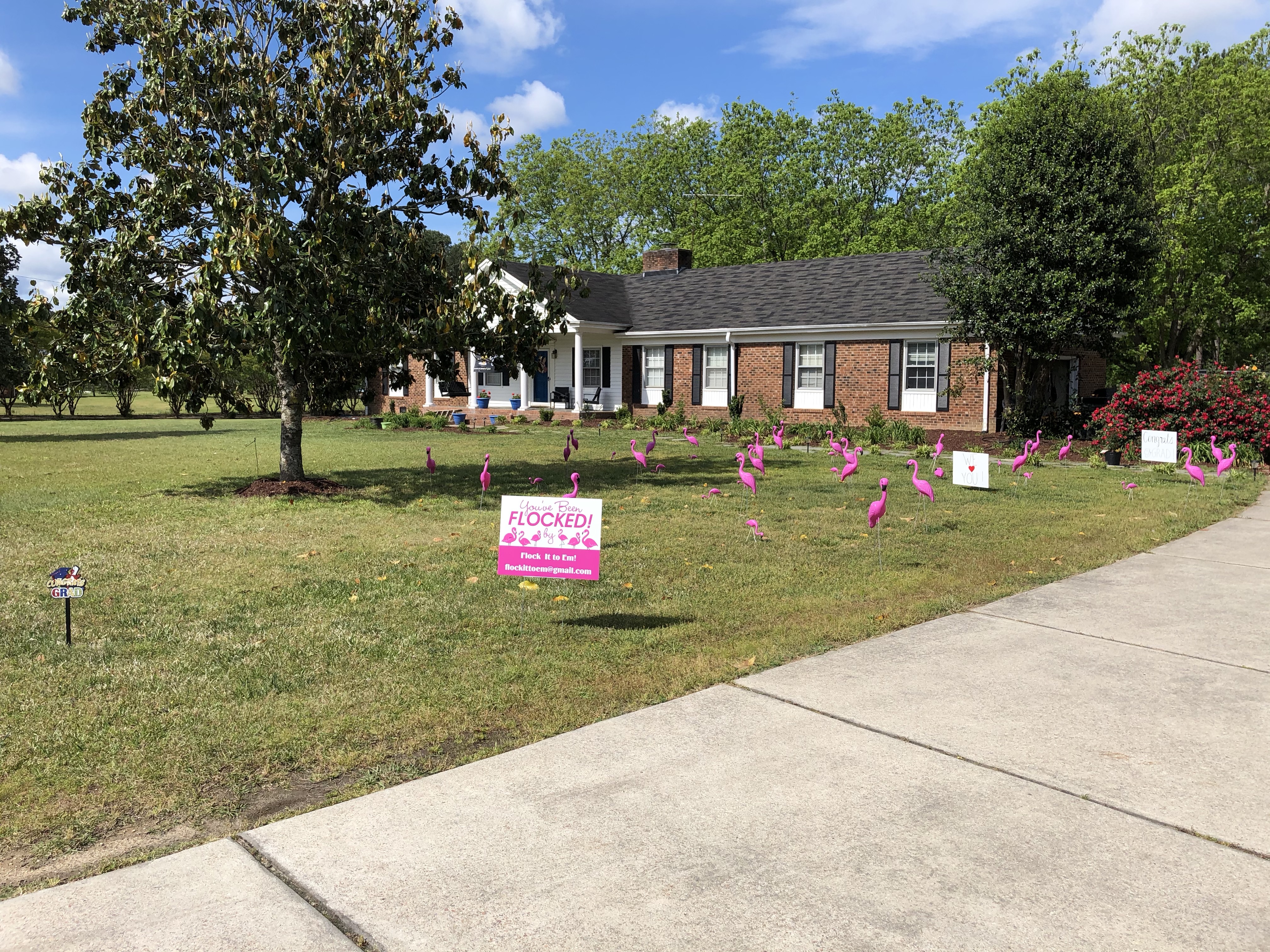 RbvvSYEBQOeqLq1%1LuJbw