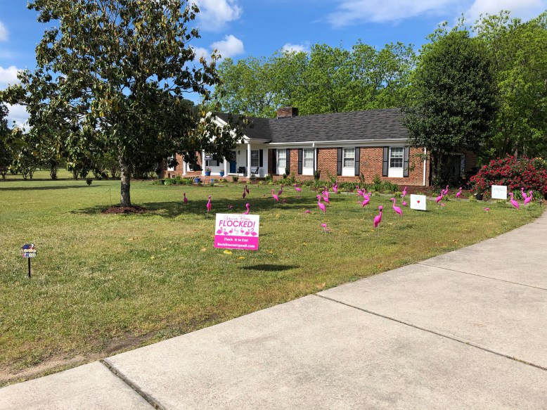 RbvvSYEBQOeqLq1%1LuJbw